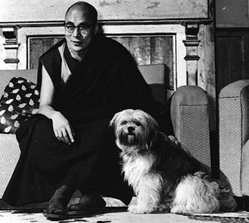 The Dalai Lama’s Dog