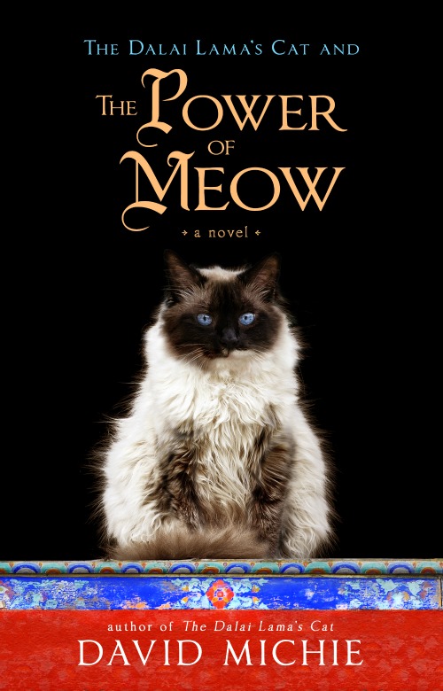 What does The Power of Meow really mean?