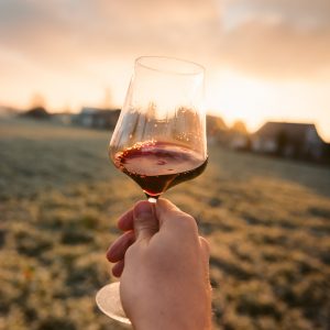 The Joy of Winefulness