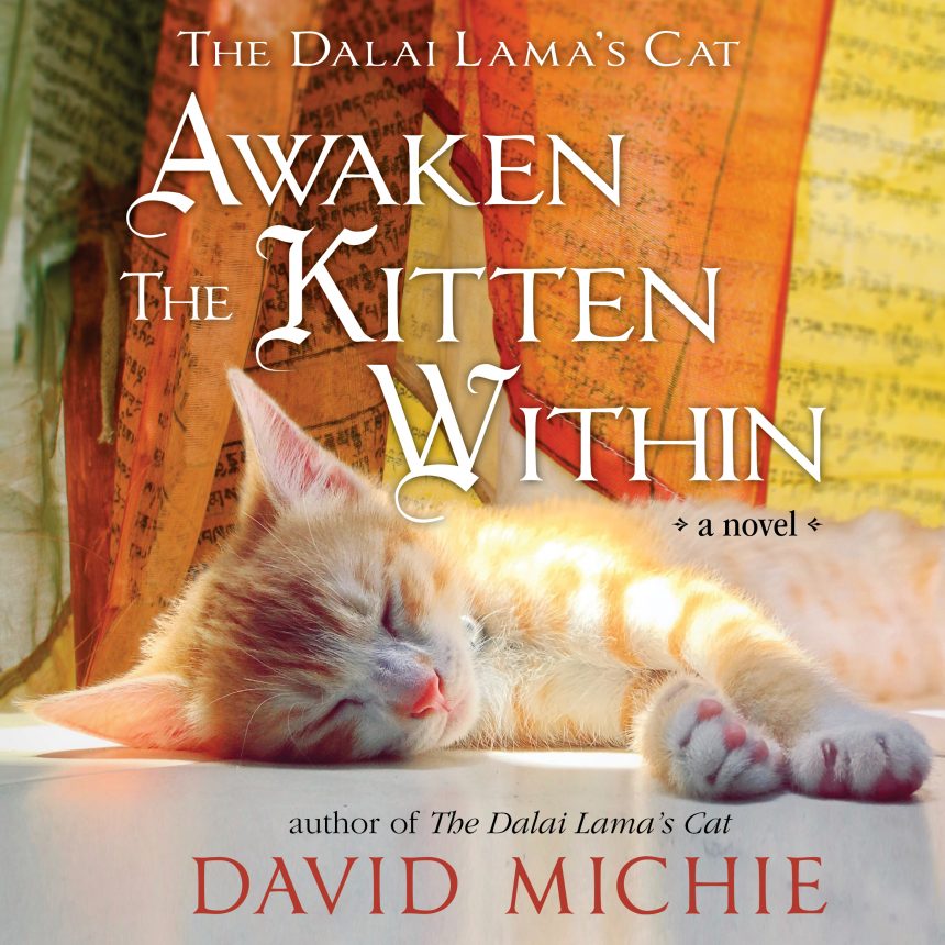 Awaken the Kitten Within – Available to pre-order now!